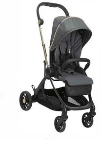 Chicco One4Ever Kinderwagen | gr&uuml;n | Version Englisch