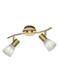 Trio LEUCHTEN LED Deckenstrahler "LEVISTO", grau (messingfarben), 2, &Oslash; 33cm, Leuchten, LED Deckenleuchte, LED Deckenlampe, LED Deckenstrahler