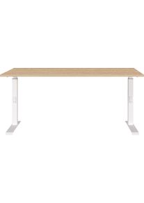 Schreibtisch Germania "Downey", lindberg, eiche, nachbildung, wei&szlig;, wei&szlig;, lindberg, eiche, nachbildung, B:160cm H:91cm T:80cm, Tische, Schreibtisch, h&ouml;heneinstellbar