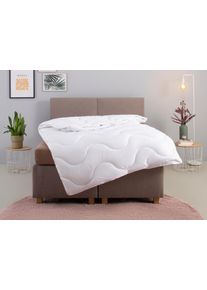 Microfaserbettdecke OTTO HOME "Mailo Bettdecke 135x200 cm, 155x220 cm", wei&szlig;, B:135cm L:200cm, Obermaterial: 100% Polyester. F&uuml;llung: 100% Polyester, Bettdecken, Microfaserbettdecke, Sommer, Winter, Decke, kuschelweicher Microfaser-Feinbatist Bezug