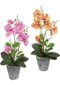 Kunstpflanze I.GE.A. "Orchidee", bunt (rosa, orange), B:19cm H:40cm L:40cm, Kunstpflanzen, Kunstpflanze, Mit Bl&auml;ttern und Luftwurzeln, im Topf aus Keramik, 2er Set