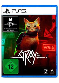 SKYBOUND GAMES Spielesoftware "Stray - [Playstation 5]", bunt (ohne farbbezeichnung), PlayStation 5, Spielesoftware, Spielesoftware