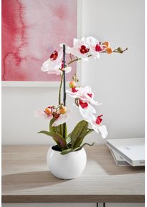 Kunstorchidee Home Affaire "Ernestine", rosa, H:42cm, Kunststoff, Kunstpflanzen, Kunstorchidee, Kunstpflanze, im Topf