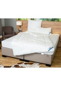 Microfaserbettdecke Beco "Beco Medibett MF50 Made in Green 135x200 cm und weitere Gr&ouml;&szlig;en", transparent (wei&szlig;, neutral), B:155cm L:220cm, Bezug: 100% Baumwolle. F&uuml;llung: 100% Polyester, Bettdecken, Microfaserbettdecke, Made in EU, allergiker geeignet (Hausstauballergiker)