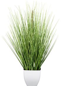 Kunstgras Creativ green "Grasbusch", gr&uuml;n, H:59cm, Kunststoff, Kunstpflanzen, Kunstgras, im wei&szlig;en Topf