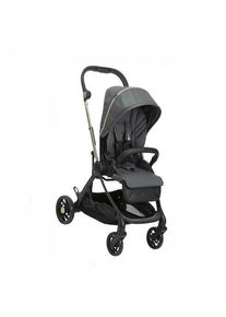 Chicco One4Ever Kinderwagen