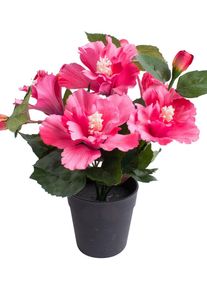Kunstblume BOTANIC-HAUS "Hibiskus im Topf", pink, B:20cm H:27cm T:20cm &Oslash;:20cm, Kunststoff, Kunstpflanzen, Kunstblume