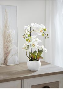 Kunstorchidee Home Affaire "Ernestine", wei&szlig;, H:42cm, Kunststoff, Kunstpflanzen, Kunstorchidee, Kunstpflanze, im Topf