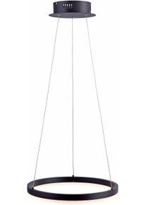 Paul Neuhaus Pendelleuchte "TITUS", grau (anthrazit), 1, &Oslash; 40cm, 1 Stk., Leuchten, LED, dimmbar, Simply Dim, Memory, nach Trennung vom Netz, Pendelleuchte