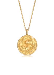 Kette mit Anh&auml;nger Elli "Halskette Sternzeichen Fisch Zodiac Astro M&uuml;nze 925 Silber" Gr. 45, gold, Halsketten, Damen, ohne Stein, Silber 925 (Sterlingsilber), Kette mit Anh&auml;nger