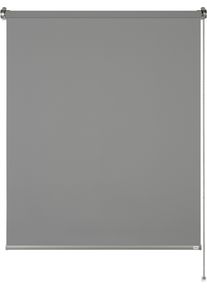 Sch&ouml;ner Wohnen Kollektion Seitenzugrollo "Tageslichtrollo Tizia", grau (anthrazit), B:45cm H:150cm, Polyester, SCH&Ouml;NER WOHNEN-KOLLEKTION, Rollos, Seitenzugrollo, geklebt, geklemmt, silberne oder wei&szlig;e Rollo-Technik