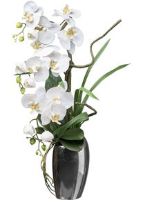 Kunstorchidee Creativ green "Orchidee Phalaenopsis", wei&szlig;, H:68cm, Kunststoff, Kunstpflanzen, Kunstorchidee, mit real-touch-Bl&uuml;ten