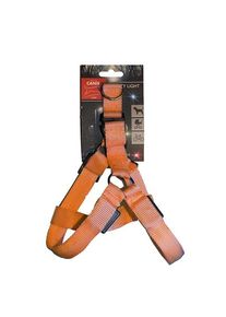 Active Canis Led light harness l orange