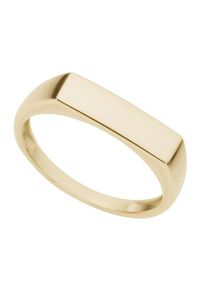 Siegelring Firetti "Schmuck Geschenk Gold 333 Herrenring Fingerring Goldring" Gr. 19, gold (gelbgoldfarben), Fingerringe, Damen, 19, Gelbgold 333, Siegelring