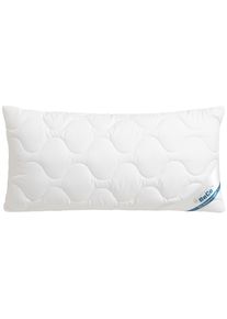 Kopfkissen Beco "EcoWell", beige (natur), B:40cm L:80cm, Obermaterial: 100% Polyester, Kopfkissen, Kopfkissen, Kissen in den Gr&ouml;&szlig;en 40x80 cm und 80x80 cm erh&auml;ltlich