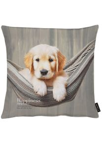 Dekokissen Apelt "Buddy", taube, beige, bedruckt, B:46cm H:0,5cm L:46cm, Baumwolle, Polyester, Dekokissen_Sitzkissen_Kissenh&uuml;llen, Dekokissen, Lieblings-Hundebaby