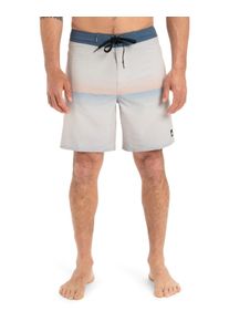 Boardshorts Quiksilver "Surfsilk Straight Leg 18", Herren, Gr. 30S, grau (wind chime connect), Obermaterial: 88% Polyester, 12% Elasthan., Hosen Boardshorts