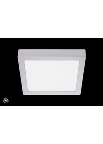 Briloner Leuchten Aufbauleuchte "FIRE", silber (wei&szlig;, neutral), Leuchten, Aufbauleuchte