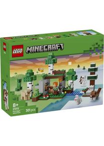 Lego Minecraft 21593 Erstes Abenteuer in der Nacht