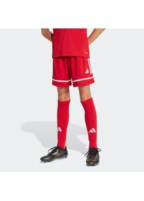 Trainingsshorts adidas Performance "SQUA25 SHO Y", Damen, Gr. 140, N-Gr, wei&szlig; (team power rot 2, team power rot 2, wei&szlig;,), Obermaterial: 100% Polyester, Hosen Trainingsshorts
