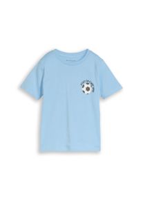 T-Shirt Tom Tailor, Jungen, Gr. 116/122, light cloudy blau, Jersey, Obermaterial: 100% Baumwolle, bedruckt, regular fit normal, Rundhals, Shirts T-Shirt, mit Print