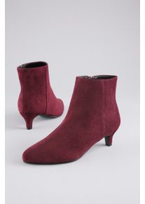 Stiefelette ANISTON SHOES, Damen, Gr. 38, bordeaux, Textil, Veloursleder, Schuhe Stiefelette, Rei&szlig;verschluss-Ankelboots, Trichterabsatz