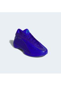 Basketballschuh adidas Performance, Gr. 41, lucid blau, lucid ray blau, lucid blau, Synthetik, Textil, Schuhe Basketballschuh