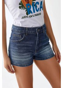 Hoge Taille Verwoeste Denim Shorts