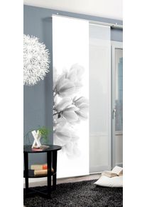 Schiebegardine Home Wohnideen "KESSI" Gr. 1, grau, B:60cm H:245cm, Polyester, Gardinen, Schiebegardine, Schiebegardine KESSI digitalbedruckt