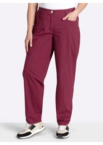 Webhose sheego, Damen, Gr. 56, Normalgr&ouml;&szlig;en, bordeaux, 97% Baumwolle, 3% Elasthan, unifarben, Hosen Webhose