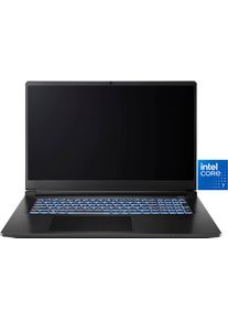 Captiva Gaming-Notebook "Entry Gaming I10-1128GE", schwarz, 64 GB RAM 2.000 GB SSD, Core i7, Windows11Home64-Bit, Notebooks, Gaming-Notebook