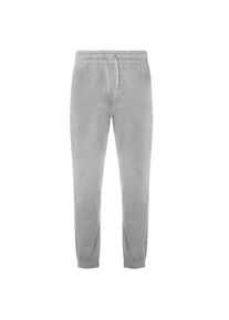 Ecologie Heren Crater Gerecycled Joggingbroek (Heide Grijs)