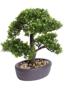 Kunstbonsai BOTANIC-HAUS "Ficus Bonsai", gr&uuml;n, B:32cm H:32cm T:32cm &Oslash;:32cm, Kunststoff, Kunstpflanzen, Kunstbonsai