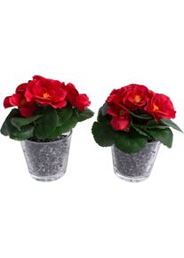 Kunstblume BOTANIC-HAUS "Fr&uuml;hlingsblume", rot, B:14cm H:14cm T:14cm &Oslash;:14cm, Kunststoff, Kunstpflanzen, Kunstblume
