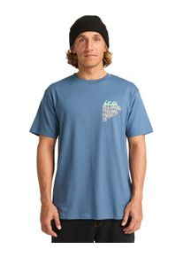 T-Shirt Billabong "Twin Fin", Herren, Gr. L, slate blau, Obermaterial: 100% Walkfrottier;, Shirts T-Shirt