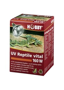 Hobby Terraristik UV-Reptile vital 160W Leuchtmittel