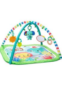 Bright Starts Wild Wiggles niemowlę Aktivit&auml;tsspielzeug | wielokolorowy