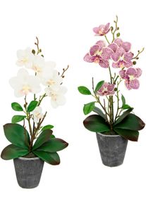Kunstpflanze I.GE.A. "Orchidee", beige (creme, rosa), B:19cm H:40cm L:40cm, Kunstpflanzen, Kunstpflanze, Mit Bl&auml;ttern und Luftwurzeln, im Topf aus Keramik, 2er Set