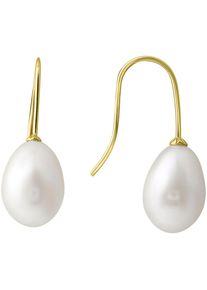 Paar Ohrhaken Firetti "Schmuck Geschenk, Ohrringe, Gold 375", gold (gelbgoldfarben, wei&szlig;), Ohrringe, Damen, Gelbgold 375 Perlen, Gelbgold 375, Perlen, Paar Ohrhaken, mit S&uuml;&szlig;wasserzuchtperle