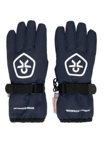 Skihandschuhe Color Kids "Skihandschuhe COGloves", Damen, Gr. 12, blau (total eclipse), Obermaterial: 90% Polyester PES. 10% Polyurethan PU., Handschuhe Skihandschuhe