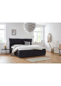 Polsterbett OTTO HOME "Jenson", grau (anthrazit), B:208cm L:225cm, Struktur weich (85% Polyester/15% Nylon), Betten, Polsterbett, als Bettgestell oder mit 3 Matratzenarten und H&auml;rtegraden