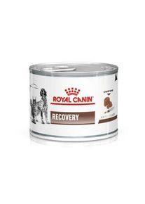 Royal Canin RECOVERY v&eacute;t&eacute;rinaire 12x195 g