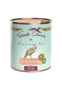 Terra Canis sans c&eacute;r&eacute;ales Adult 6x800g Dinde avec c&eacute;leri, courge et cresson de fontaine