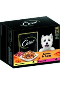 CESAR Multipack en gel&eacute;e &agrave; la carotte, au poulet, au b&oelig;uf et aux l&eacute;gumes 4 x 12 x 100 g
