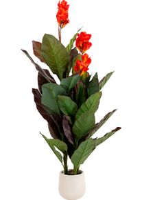 K&uuml;nstliche Zimmerpflanze KARE DESIGN "Deko-Pflanze Canna Lily", gr&uuml;n, B:55cm H:165cm L:55cm, Kunststoff, Polyester, Stahl, Kunstpflanzen, K&uuml;nstliche Zimmerpflanze, 115 oder 165 cm H&ouml;he