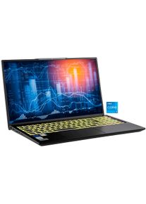 Captiva Business-Notebook "Business/Office I10-1415GE", silberfarben, 16 GB RAM 2.000 GB SSD, Core i5, ohne Betriebssystem, Notebooks, Business-Notebook