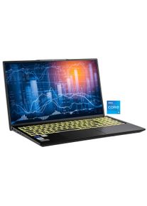 Captiva Business-Notebook "Business/Office I10-1438GE", schwarz (silberfarben), 64 GB RAM 1.000 GB SSD, Core i5, ohne Betriebssystem, Notebooks, Business-Notebook