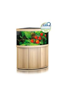JUWEL Komplett Eck-Aquarium Trigon 350 LED mit Unterschrank SBX helles holz