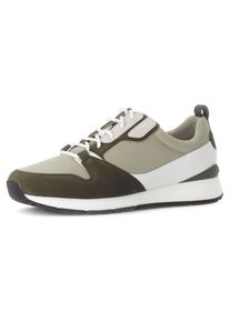 Sneaker Pius Gabor, Herren, Gr. 11,5 (46,5), gr&uuml;n (khaki kombiniert), Mesh, Nubukleder, Schuhe Sneaker, Freizeitschuh, Halbschuh, Komfortschuh, Schn&uuml;rer in Weite G