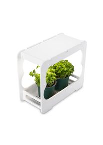 Gew&auml;chshaus Hama "Gew&auml;chsstation mit Vollspektrum LED Pflanzenlampe 14 W, mehrere T&ouml;pfe", wei&szlig;, Gew&auml;chsh&auml;user, Gew&auml;chshaus